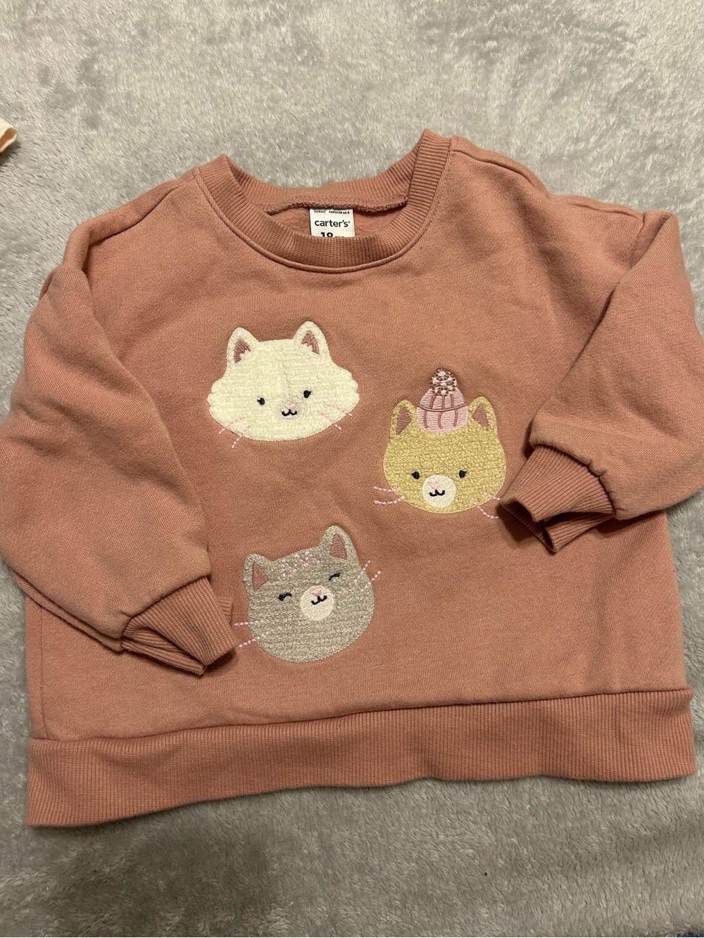 Carter's Dusty Rose Cat Sweatshirt